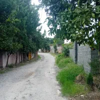 ویلا-باغ-250-متری-امل