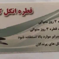 انواع دارو های کبوتر صددرصد تضمینی|لوازم جانبی حیوانات|شیراز, پودنک|دیوار
