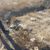 زمین-حاشیه-خین-عرب-طرحچی-خوش-قواره