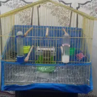 قفس سایز بزرگ