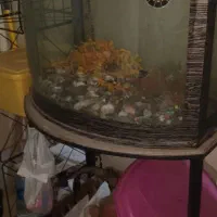 آکواریوم شیشه خم با پایه فلزی