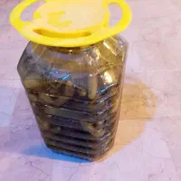 خیارشور خانگی