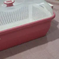 جانونی لیمون