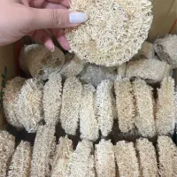 زیر صابونی لوفا