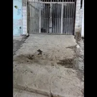معازه فروشی|فروش مغازه و غرفه|مینودشت, |دیوار