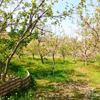 باغ منطقه ییلاقی روستا نغندر
