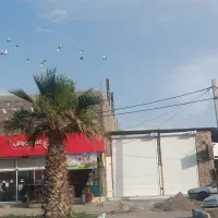 اجازه مغازه در بلوار حیدر شهرکی