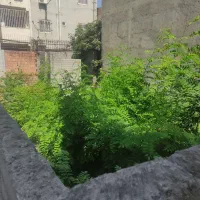 فروش زمین ۱۰۸ متر واقع در گلستان ۵۵