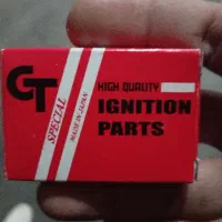 پلاتین دلکوی نیسان