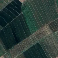 فروش زمین برنجکاری، صالحان