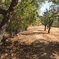 زمین ۱۲۰۰ متری احمد آباد دماوند|فروش زمین و ملک کلنگی|دماوند, دماوند|دیوار