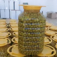 پخش زیتون بصورت عمده