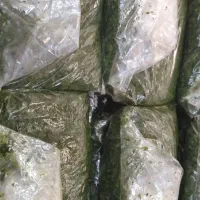 محصولات خانگی ایوان|خوردنی و آشامیدنی|ایوان, |دیوار