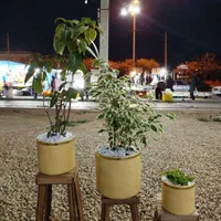 استند گلدان|گل و گیاه طبیعی|شیراز, نصر|دیوار