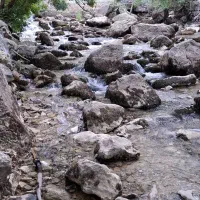 مسافرت تابستانه ویژه ی بانوان و کودکان