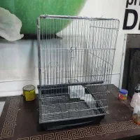 قفس پرنده