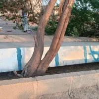 قایق