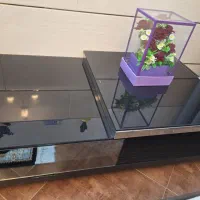 میز‌ و گلمیز