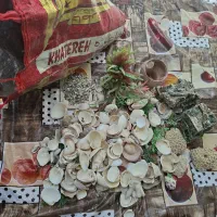 وسایل آکواریوم