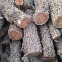 چوب عناب و گردو و ...