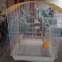 فروش قفس پرنده