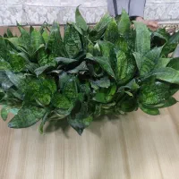 گل طبیعی بزرگ