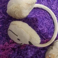 سه عددگوش گیرنو|کلکسیون و سرگرمی|رشت, دیانتی|دیوار