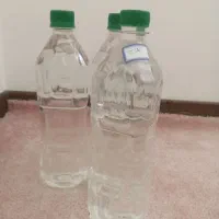 گلاب خانگی