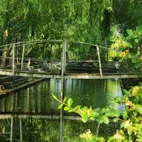 ویلای چوبی تو آغوش جنگل|فروش خانه و ویلا|قشم, |دیوار