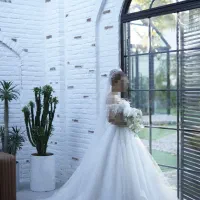 لباس عروس اروپایی