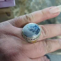 انگشتر نقره دستساز با نگین شجر اصیل|جواهرات|تهران, امین حضور|دیوار