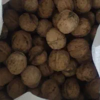 گردوایلاق|حراج|ایذه, |دیوار