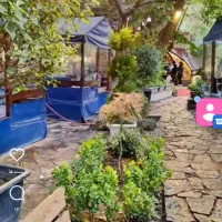 شاگرد برای کافه