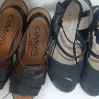 کفش زنانه|کیف، کفش، کمربند|گلبهار, شهر جدید گلبهار|دیوار