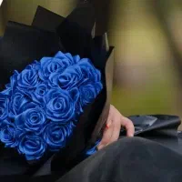 گل ربانی17شاخه(سفارش هم پذیرفته میشود)