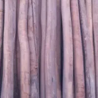 خریدار انواع چوب|خدمات باغبانی و درختکاری|شهرکرد, |دیوار