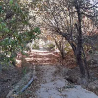 ا شراکت در بهره برداری باغ در بناب