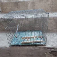 قفس پرنده با وسایل