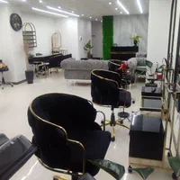 استخدام شنیون کار حرفه ای