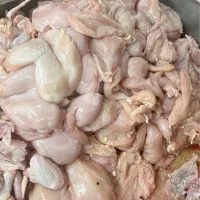 سینه فیله ران کتف بال ساق گوشت ران بوقلمون