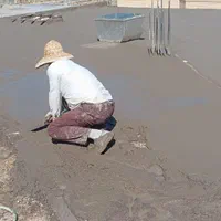 نمایندگی ایزوگام شرق *اقساط*S|خدمات پیشه و مهارت|رفسنجان, |دیوار