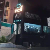 آشپز فرنگی ظرفشور سالنکار ویتر صندق دار