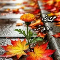 ۹۳۹۷۱۷۶۵۵۵دائمی
