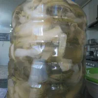 ترشی .ترشی خانگی.ترشی زو