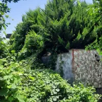 زمین-240-متر-هچیرود-نزدیک-نمک-آبرود