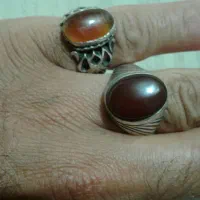 جوجه سهره نر|پرنده|اسلامشهر, شهرک محمدیه|دیوار