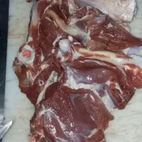 گوشت گوسفند( نر) *زیر قیمت کشتارگاه*