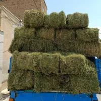 انواع یونجه در ملایر|لوازم جانبی حیوانات|ملایر, |دیوار