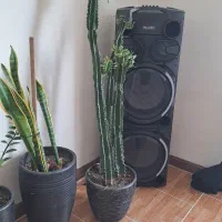 لوازم خانه سالم برای جهیزیه بوده