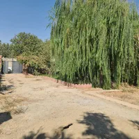 ۸۰۰ متر سند تک برگ کنتور برق گاز اب سهیلیه|فروش خانه و ویلا|هشتگرد, کوی یاران|دیوار